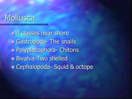 Mollusca 4 classes near shore Gastropoda- The snails