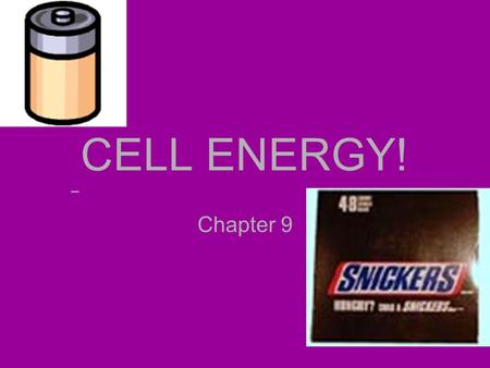 CELL ENERGY! Chapter 9. ENERGY - A hot item! All cells need energy to function. They must: – Produce energy from their environments –Store energy for.