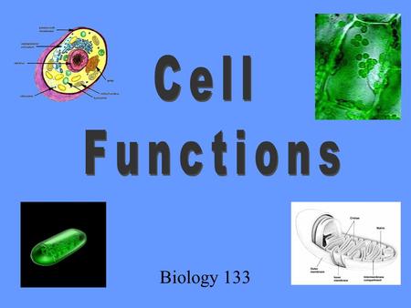 Cell Functions Biology 133.
