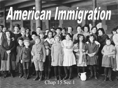 Stages of Immigration Immigration Laws First of all, you need to have read the book. If you dont you are toast.