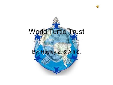World Turtle Trust By: Hayley Z. & Alli S. Yes! Destruction of coral reefs Loss of nesting beaches due to us Chemicals and garbage are causing pollution.