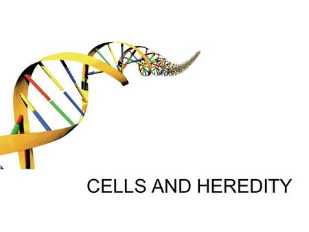 CELLS AND HEREDITY.