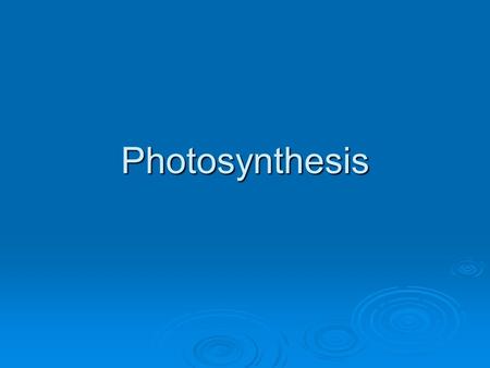 Photosynthesis. The overview Photosynthesis Light reaction Photosystems 1 and 2 Needs H2O, light, NADP, ADP Products are O2, NADPH, and ATP Dark reaction.