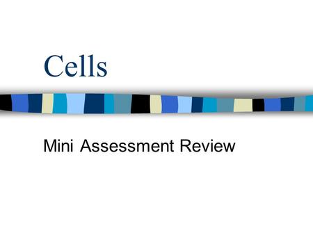 Mini Assessment Review