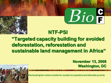 Targeted capacity building for avoided deforestation, reforestation and sustainable land management in Africa Harnessing the carbon market to sustain ecosystems.