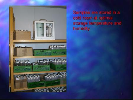 1 Samples are stored in a cold room at optimal storage temperature and humidity.