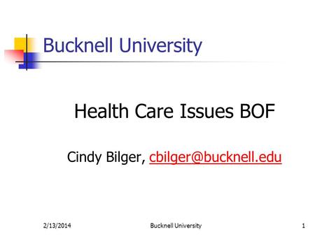 2/13/2014Bucknell University1 Health Care Issues BOF Cindy Bilger,