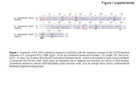Figure I supplemental Figure I: Alignment of the VIP-2 reference sequence (cd00233) with the sequence present in the COOH-terminal fragment of A. hydrophila.
