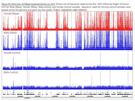 Female DNase: Male DNase: Female Control: Male Control: Figure S1: Overview of DNase hypersensitivity on chr5. Shown are all sequence reads across the.