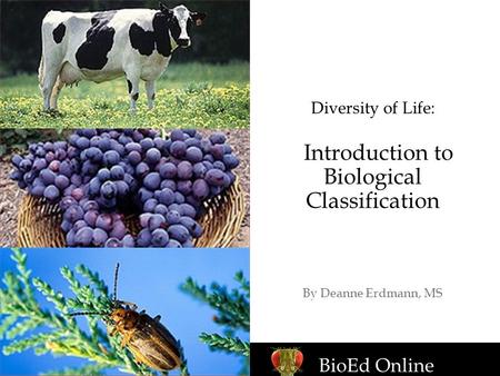 Diversity of Life: Introduction to Biological Classification