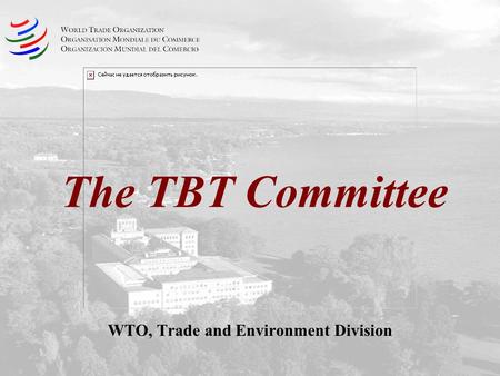 WTO, Trade and Environment Division
