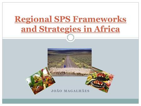 JOÃO MAGALHÃES Regional SPS Frameworks and Strategies in Africa.