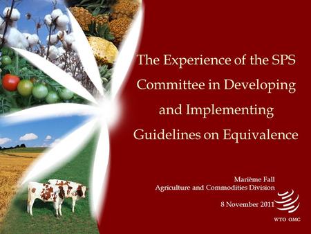 The Experience of the SPS Committee in Developing and Implementing Guidelines on Equivalence Marième Fall Agriculture and Commodities Division 8 November.