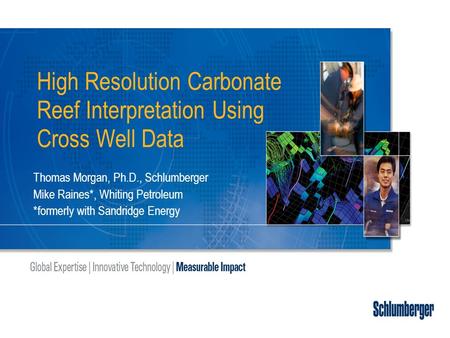 High Resolution Carbonate Reef Interpretation Using Cross Well Data