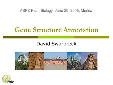 Gene Structure Annotation David Swarbreck ASPB Plant Biology, June 29, 2008, Merida.