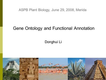 1 Gene Ontology and Functional Annotation Donghui Li ASPB Plant Biology, June 29, 2008, Merida.