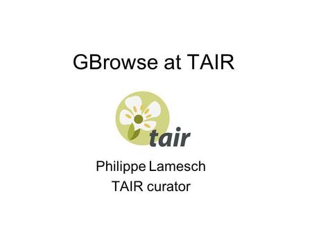 GBrowse at TAIR Philippe Lamesch TAIR curator. Seqviewer.