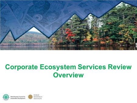Corporate Ecosystem Services Review