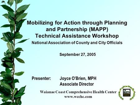 Mobilizing for Action through Planning and Partnership (MAPP) Technical Assistance Workshop National Association of County and City Officials Presenter:Joyce.