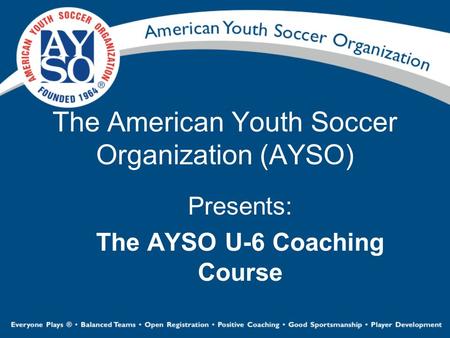 The American Youth Soccer Organization (AYSO)