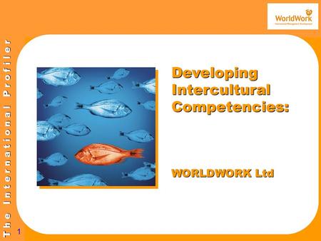 T h e I n t e r n a t i o n a l P r o f i l e r 1 Developing Intercultural Competencies: WORLDWORK Ltd.