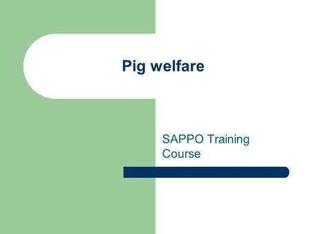 Pig welfare SAPPO Training Course. South African Welfare Code The South African Welfare Code provides guidelines on how pigs should be treated Pigs should.