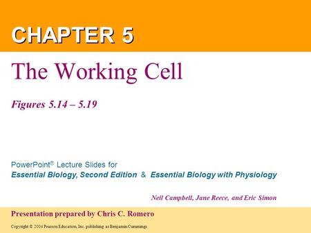 The Working Cell Figures 5.14 – 5.19