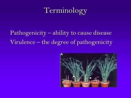 Terminology Pathogenicity – ability to cause disease Virulence – the degree of pathogenicity.