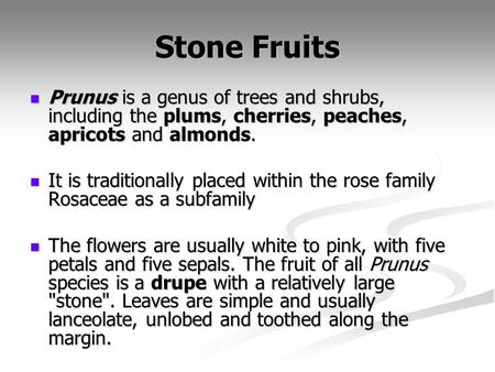 Stone Fruits Prunus is a genus of trees and shrubs, including the plums, cherries, peaches, apricots and almonds. It is traditionally placed within the.