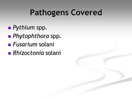 Pathogens Covered Pythium spp. Phytophthora spp. Fusarium solani