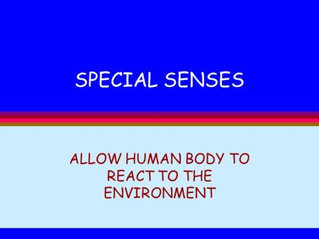 ALLOW HUMAN BODY TO REACT TO THE ENVIRONMENT