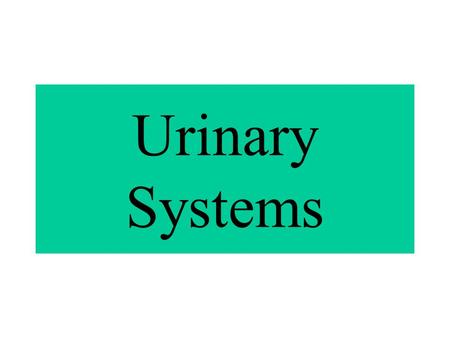 Urinary Systems.