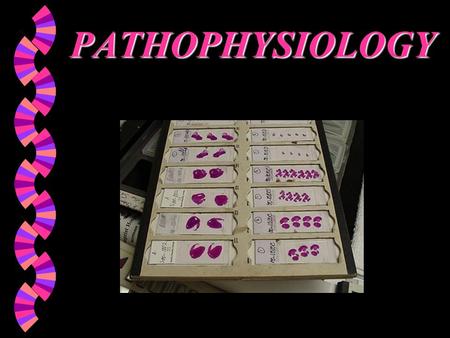 PATHOPHYSIOLOGY PATHOPHYSIOLOGY w DEFINED Involves the study of function that results from disease processes.