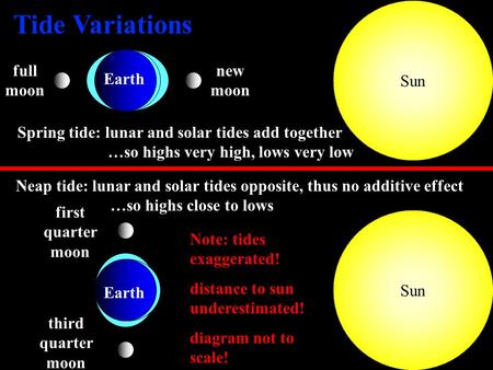 1 Sun new moon full moon Spring tide: lunar and solar tides add together …so highs very high, lows very low Neap tide: lunar and solar tides opposite,