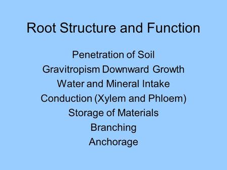 Root Structure and Function