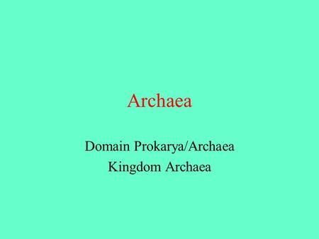 Domain Prokarya/Archaea Kingdom Archaea