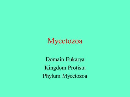 Domain Eukarya Kingdom Protista Phylum Mycetozoa