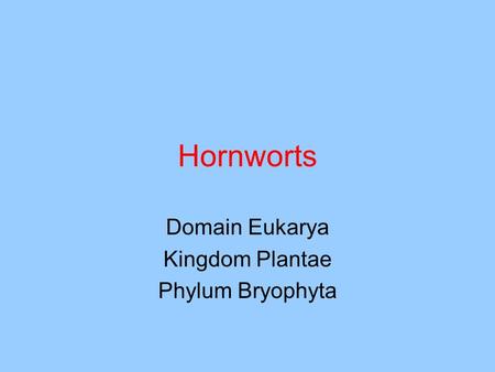 Domain Eukarya Kingdom Plantae Phylum Bryophyta
