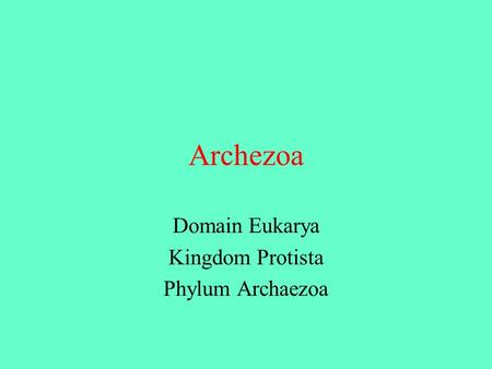 Domain Eukarya Kingdom Protista Phylum Archaezoa