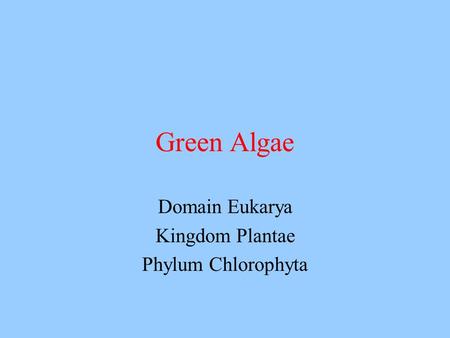 Domain Eukarya Kingdom Plantae Phylum Chlorophyta
