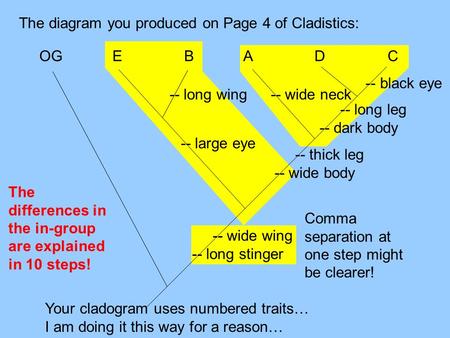 The diagram you produced on Page 4 of Cladistics: