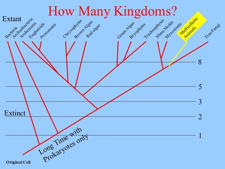 How Many Kingdoms? Extant Extinct 2 Long Time with 1