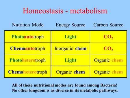 Homeostasis - metabolism