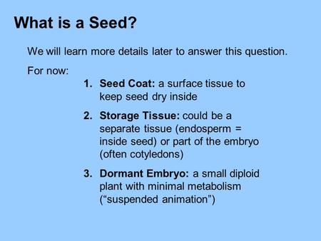 What is a Seed? We will learn more details later to answer this question. For now: Seed Coat: a surface tissue to keep seed dry inside Storage Tissue:
