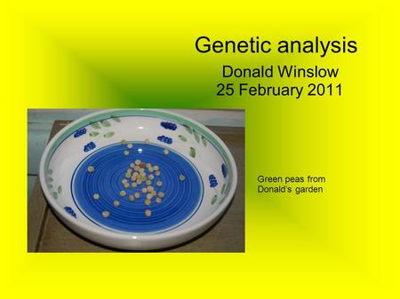 Genetic analysis Donald Winslow 25 February 2011 Green peas from Donalds garden.