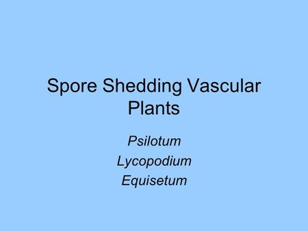 Spore Shedding Vascular Plants