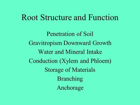 Root Structure and Function Penetration of Soil Gravitropism Downward Growth Water and Mineral Intake Conduction (Xylem and Phloem) Storage of Materials.