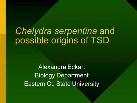 Chelydra serpentina and possible origins of TSD Alexandra Eckart Biology Department Eastern Ct. State University.