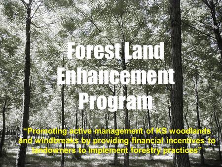 Forest Land Enhancement Program Promoting active management of KS woodlands and windbreaks by providing financial incentives to landowners to implement.