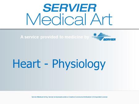 A service provided to medicine by Servier Medical Art by Servier is licensed under a Creative Commons Attribution 3.0 Unported License Heart - Physiology.
